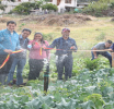 Agua para la vida, para la producción  de la ruralidad de Pichincha