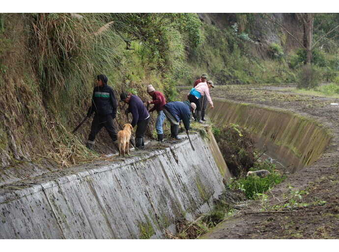 Minga de limpieza del canal de riego Cayambe Pedro Moncayo